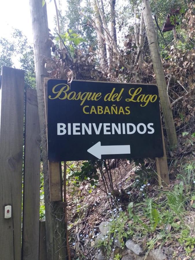 Bosque Del Lago Pucón Extérieur photo