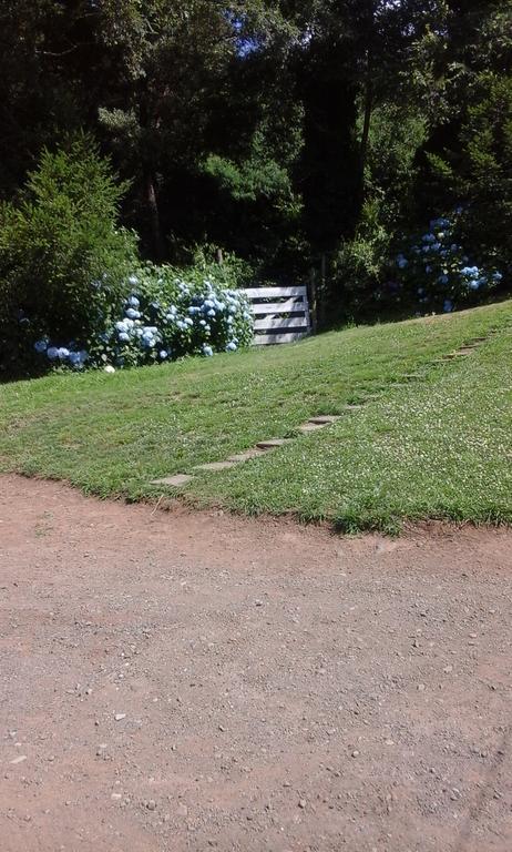 Bosque Del Lago Pucón Extérieur photo